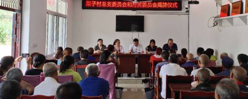 社区和村委会是一回事吗(原来社区和村委会有什么区别)