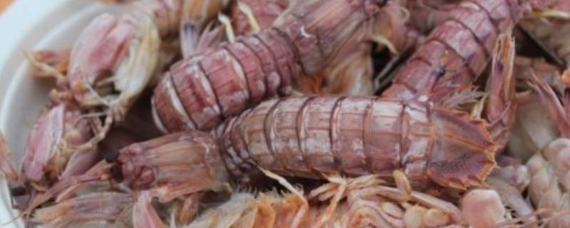 皮皮虾煮多久算熟了(皮皮虾煮多长时间才熟)