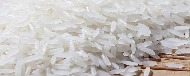 香米是粳米还是籼米(香米是放香精吗)