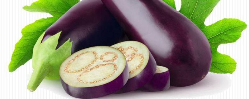 花皮茄子和普通茄子的区别(线茄子与普通茄子有什么区别)