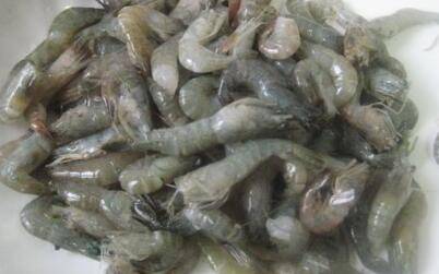 小河虾怎么炒菜好吃(怎么炒河虾最好吃)