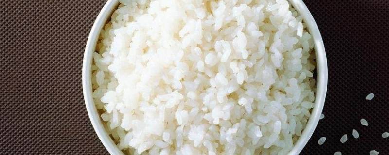 一个人煮饭放多少米多少水(一个人做饭放多少米)