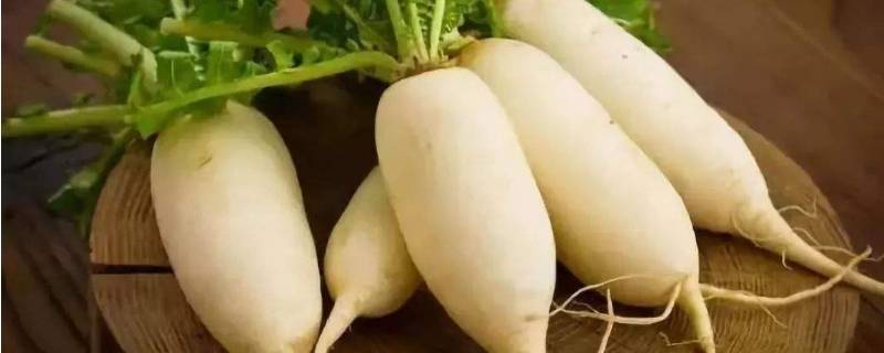 吃白萝卜有什么用途(白萝卜煮水功效怎么做)