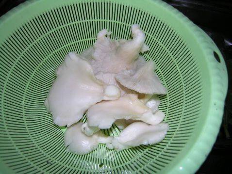 凤尾菇怎么炒着吃(炒凤尾菇的正确方法)