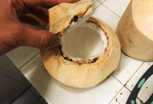 椰奶冻怎么不成形(椰奶冻怎么做窍门)