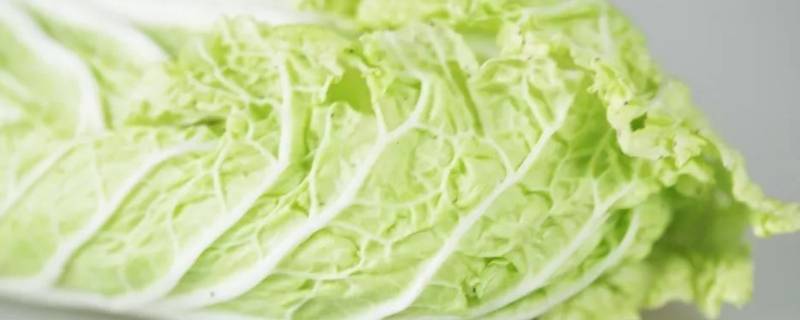 水白菜怎么炒出水少(白菜丝怎么炒)