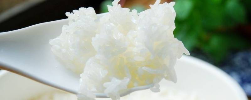 沥米饭会流失多少营养(沥过水的米饭还有营养吗)