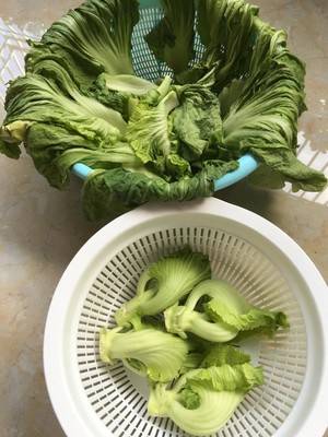 腌菜怎么腌呀(腌菜怎么腌)