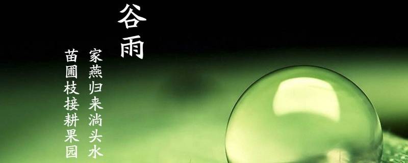 谷雨吃什么东西(谷雨吃什么祛湿最好)