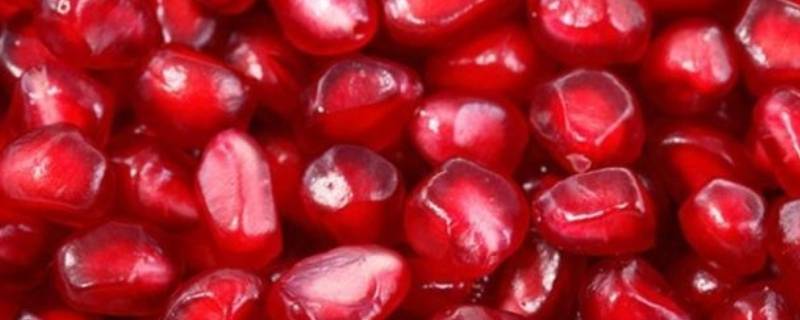 石榴需要放冰箱保存多久(石榴放在冰箱保存多久)