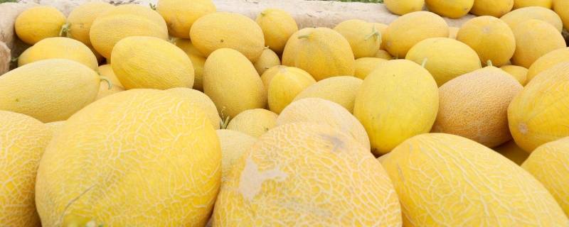 吃太多哈密瓜上火吗(经常吃哈密瓜上火吗)