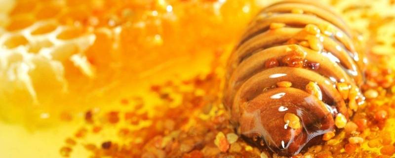 玫瑰花粉什么人不能吃(常吃玫瑰花有什么坏处)