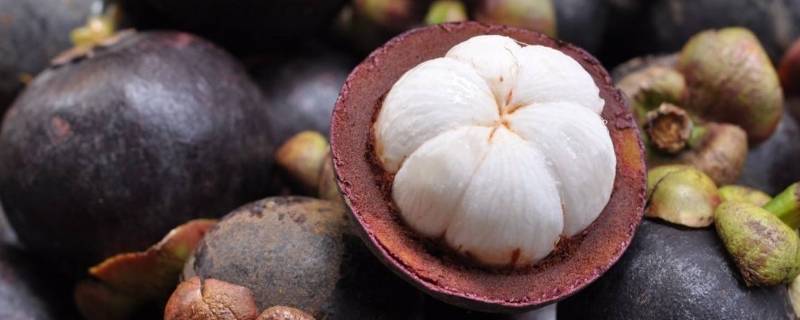 山竹表皮有一层黄粉末是什么(山竹外面黄色粉末是什么)