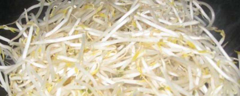 绿豆芽怎么炒(绿豆芽怎么炒家常)
