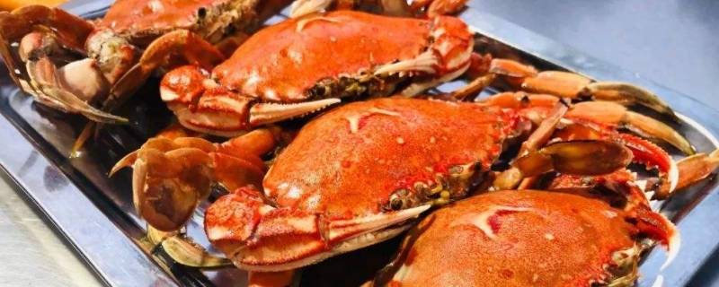 梭子蟹放冷藏可以保存多久(冷藏的梭子蟹能放多久)