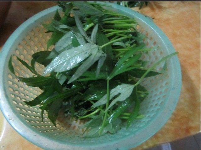 番薯叶怎么炒好吃又绿(番薯叶怎么炒酒店做法)