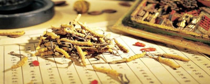 临汾路发霉虫草回收(虫草受潮发霉怎么处理)