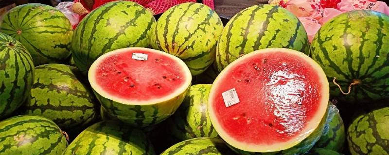 西瓜放水里能放多久(西瓜放水里面放久了会怎样)