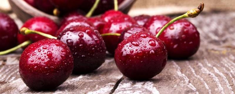 樱桃泡酒可以加蜂蜜吗(樱桃有点烂可以泡酒吗)