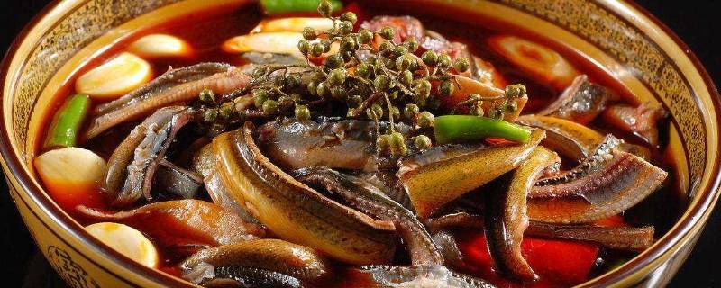 家常红烧泥鳅最正宗的做法(红烧泥鳅豆腐家常做法)