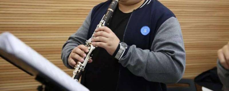 clarinet是什么乐器(clarinet属于什么乐器)