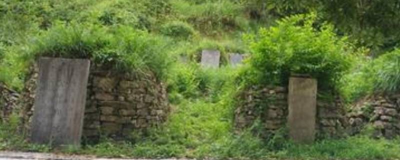 农历七月半叫什么节(七月半是什么节日不能干什么)