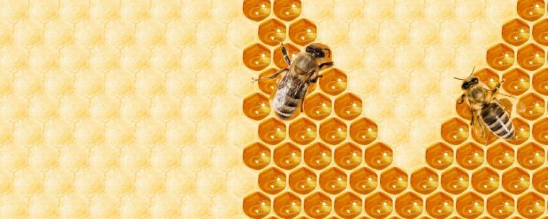 蜂蜜放久了底下的白色沉淀是什么(蜂蜜会有白色沉淀吗)