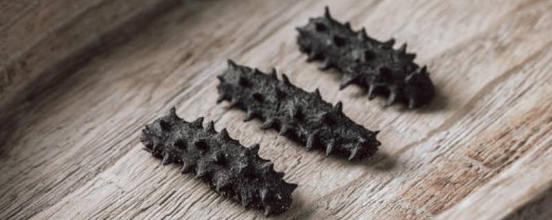 干海参泡发的正确步骤(干海参如何保存时间长)