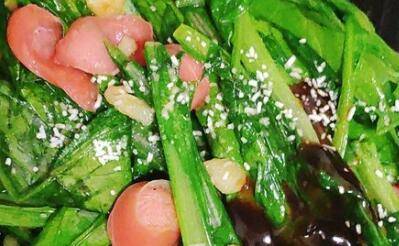 油麦菜怎么做好吃又简单的做法(油麦菜怎么做好吃)