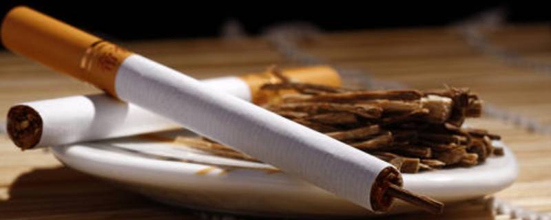 烟丝和香烟哪个危害大(烟丝怎么保存)