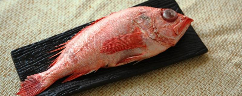 飞机上可以携带冷冻海鲜吗(飞机可以携带冷冻海鲜吗)