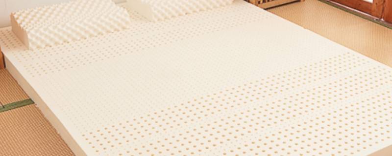 乳胶可以太阳暴晒吗(乳胶可以晒太阳么)