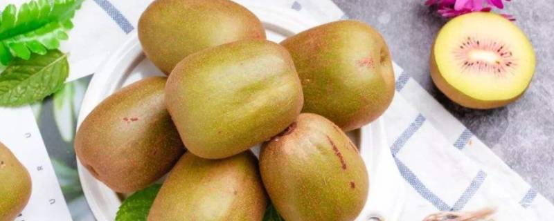 猕猴桃花粉在常温下能放多久(猕猴桃放的时间长可以吃吗)