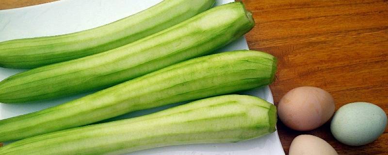 丝瓜和胜瓜是什么关系(丝瓜叫胜瓜吗)