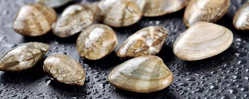 花甲怎么洗得干净彻底(花甲怎么洗最干净最快)