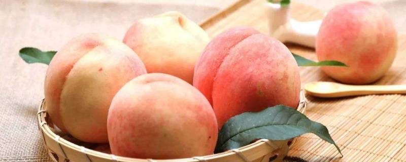 为什么超市买的桃子放几天都不软(桃子放几天就软了怎么回事)