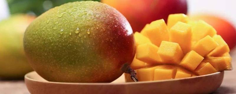 芒果核发芽了还能吃吗(芒果果核黑了还能吃吗)