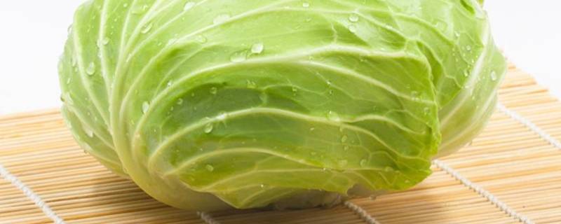 卷心菜最好吃的六种做法(炒卷心菜怎么做才好吃)