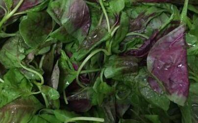 蒜蓉汉菜正宗做法(汉菜怎么弄好吃)