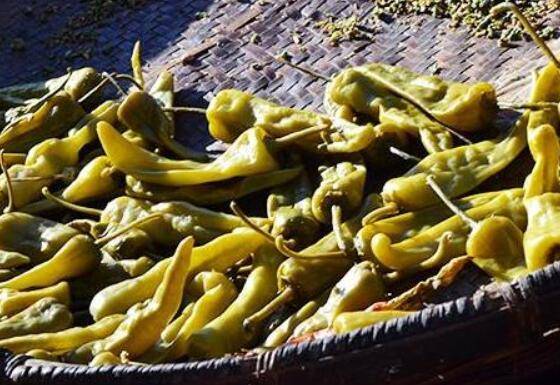 青辣椒怎么晒干最好吃(青辣椒怎么晒干视频)