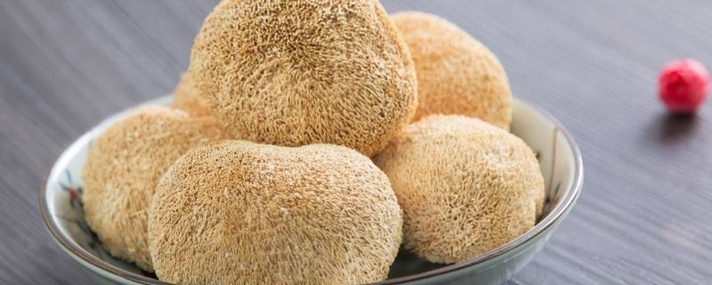 猴头菇应该泡多长时间(猴头菇泡了三天能坏么)