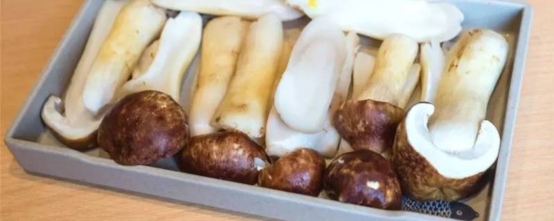 野生菌怎么做比较好吃(野生菌子最好吃的做法)