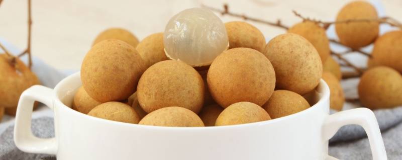桂圆和龙眼的区别图片欣赏(桂圆的功效与作用)