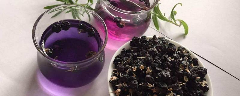 泡黑枸杞的话要用多少度的水(泡黑枸杞需要多少度的水)