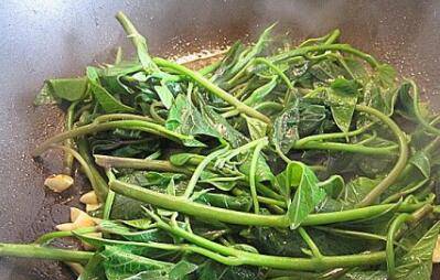 怎样炒番薯叶好吃(炒番薯叶怎么炒出来才好吃)