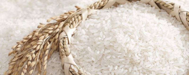 过期大米怎么二次利用(过期大米用途)