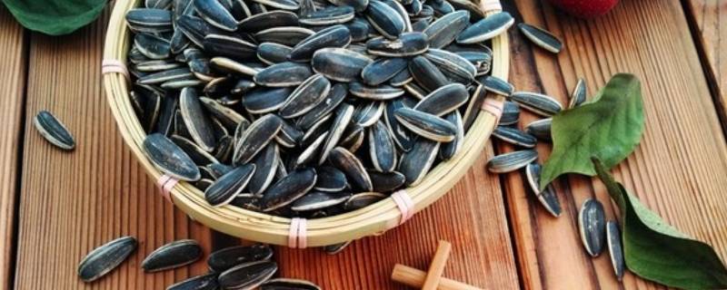 原味瓜子怎么炒熟(炒原味瓜子教程)