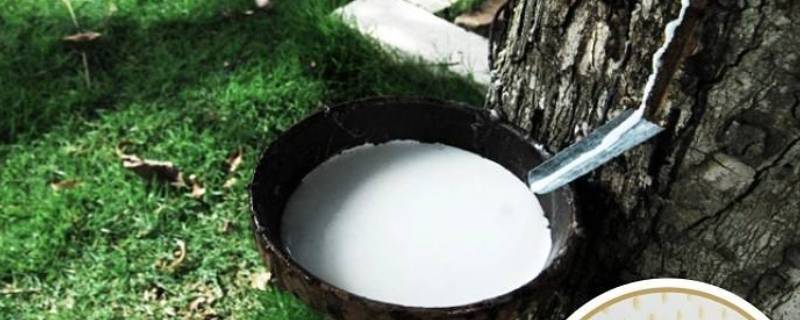 怎么去除乳胶产品的异味(乳胶什么味道啊)