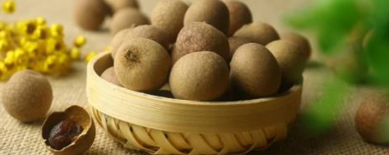 龙眼怎么晒干(龙眼干怎么晒不会发霉)