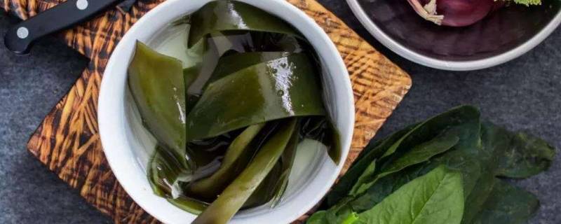 湿海带可以放多久冰箱(湿海带放冰箱冷冻能放多久)